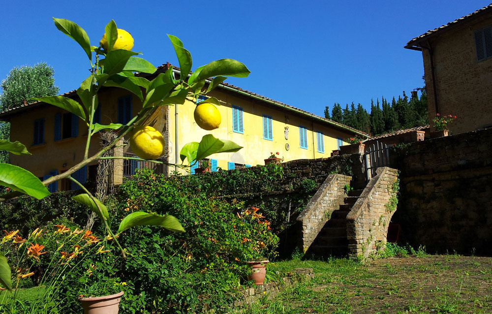 Bassetto Guesthouse & Apartments Чертальдо Екстер'єр фото